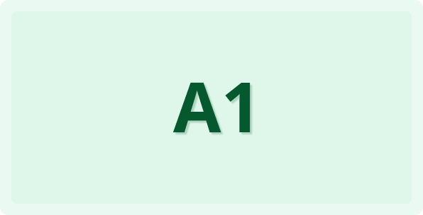 Beginner Level